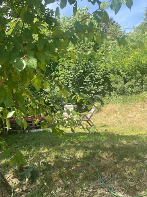 Villa Les Terrasses Dans La Nature Avec Piscine A 2 Pas De Lyon, Metro A 15Mn A Pied Pour Lyon Centre En 10Mn Ou Bus A 300M Pour Lyon Centre Уллен Экстерьер фото